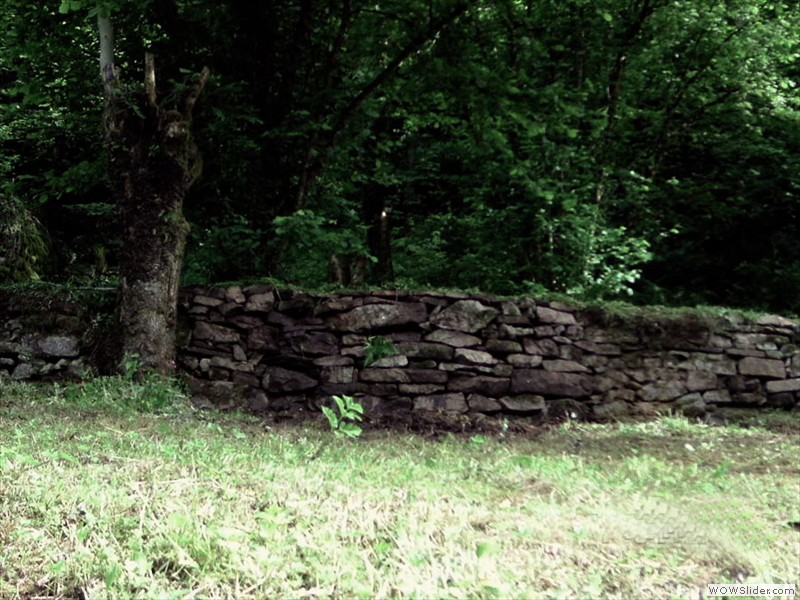 Restauration de mur en pierre sèche